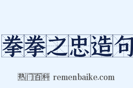 拳拳之忠造句是什么意思的图片